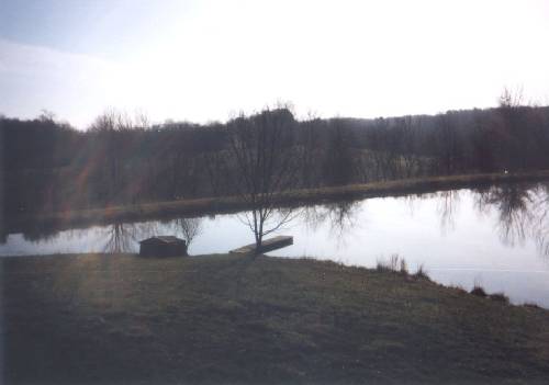 View from the House