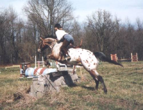 Heather Jumping Dax