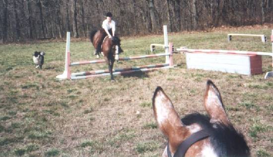 Heather Jumping Jeunesse