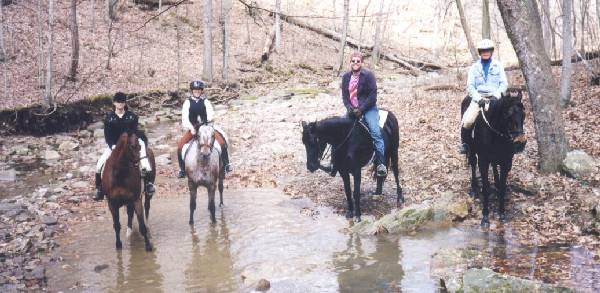 Trail Ride in Hunt Country