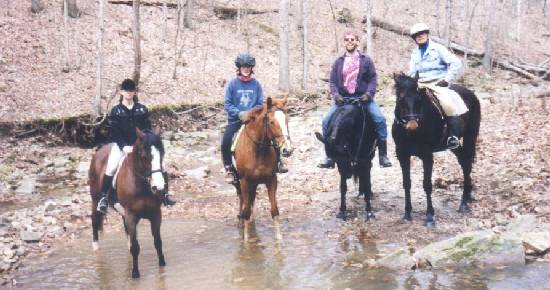 Trail Ride in Hunt Country