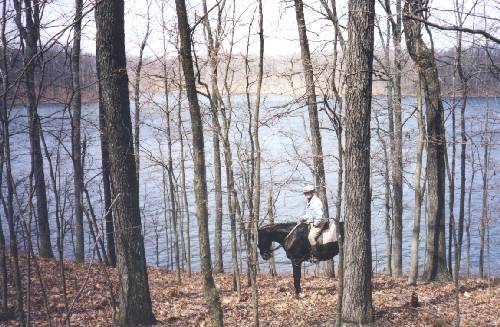 Trail Ride in Hunt Country