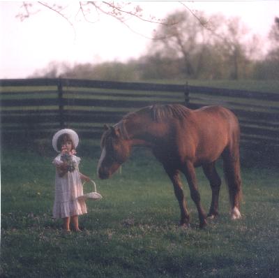 elaine and noble