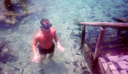 m swimming with fishes