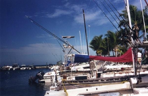 noon at the KOA boat docks