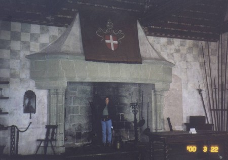 huge fireplace in the castle