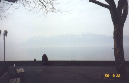 misty lake geneva