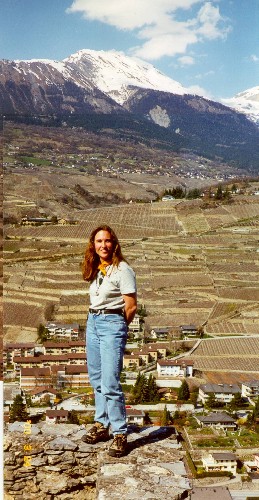 great perspective on the landscape at sion