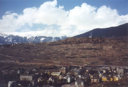 overview of sion