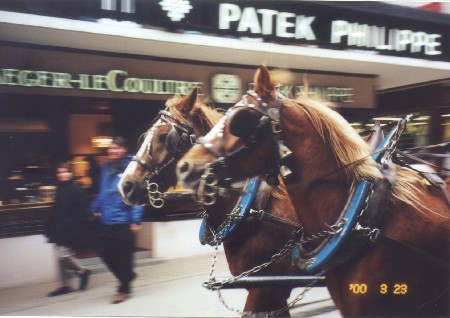 the only horses we saw in switzerland