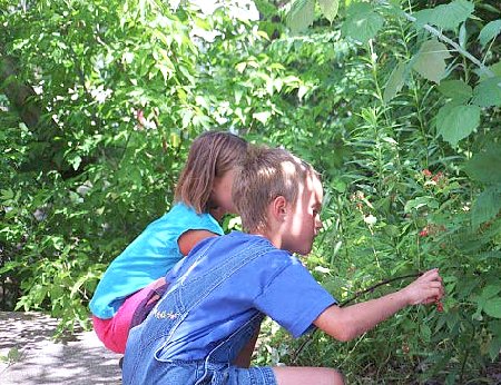 picking wild berries near the river