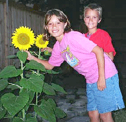 kids and sunflowers at night