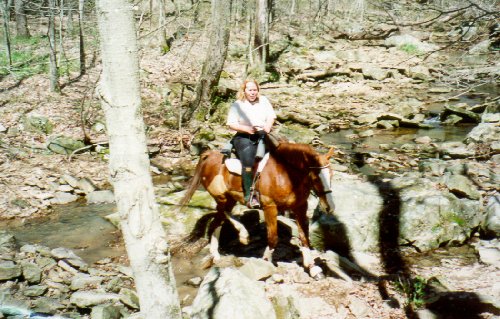 typical stream crossing in shawnee