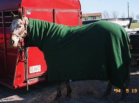 dax in a blanky