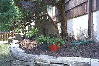 porch bed just before planting ferns and hostas