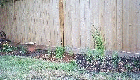 rear side bed aug 2002