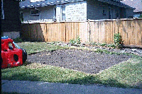 pond in progress july 2002