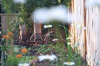 viewing plow june 2002
