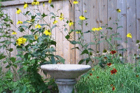 birdbath sept 2002