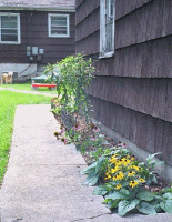 garage bed sept 2002