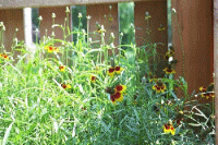 mexican hat sept 2002