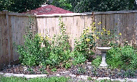 rear bed sept 2002