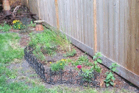 rear side bed sept 2002