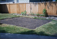 pond july 2002