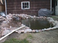 pond in progress april 15 2003