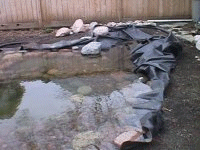 pond in progress april 5 2003