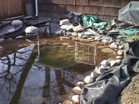 pond in progress march 30 2003