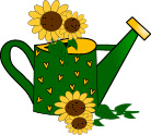 sunflower watering can