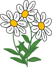 3 daisys