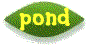 pond