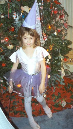 elaine fifth birthday fairy princess
