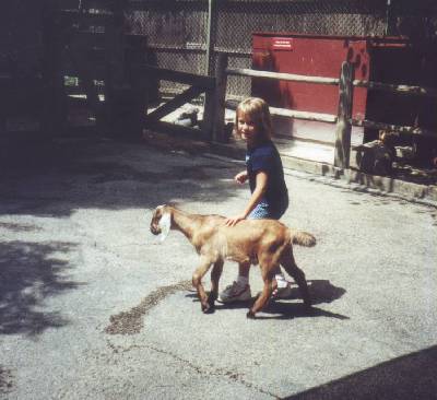 grace & goat, brookfield zoo - aug 2000