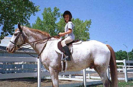 elaine's second horse show on mac