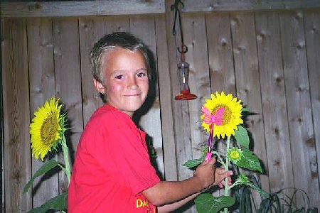 grace also adopted a sunflower